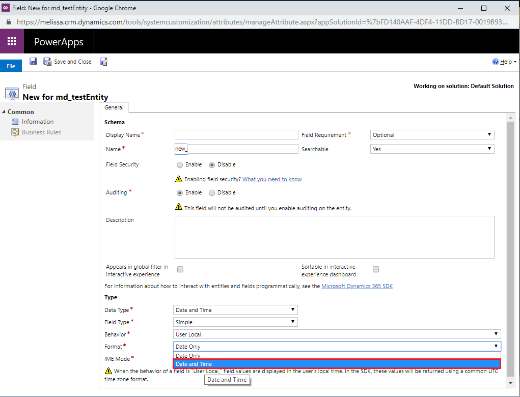 Dynamics Personator CustomMapping 23 Format.png