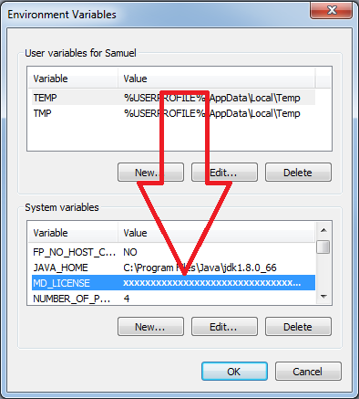 DQT API SetEnvironmentVariable 10.png