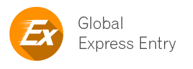 TILE CSG GlobalExpressEntry.png